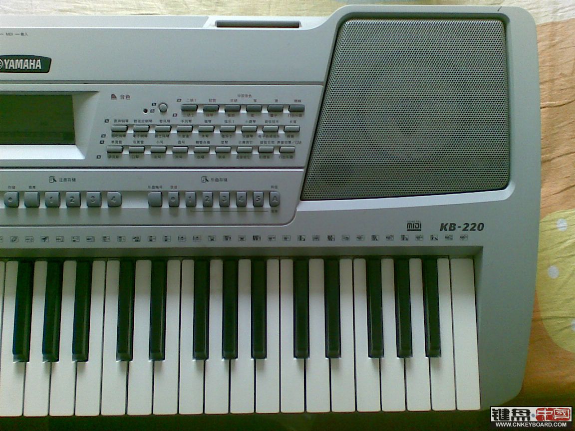 雅马哈电子琴kb220,雅马哈kb200电子琴 yamaha电子琴 kb220