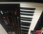 korg pa4x61