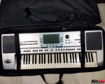 ת KORG  pa50