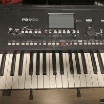 KORG PA300ת