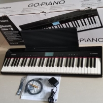 Roland/ GO-61P ٣ԭװ1700ʳ