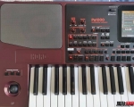 korg pa1000ûţر£˵ȫɫǳ