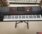 KORG  PA700һ̨Ʒɫ