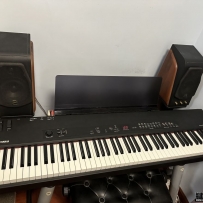 yamaha cp33