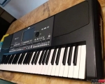 korg pa600 ת