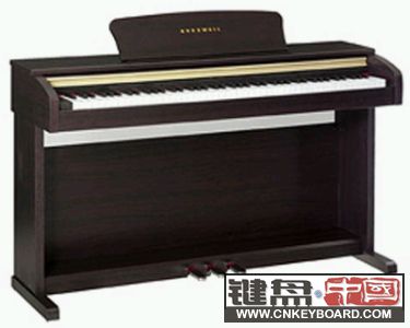 KURZWEIL RE110