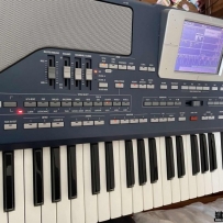 תkorg pa800