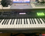 תROLAND  JUNO DS88߽٣