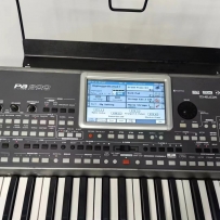 korg pa900