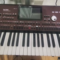 KORG pa700豸ת