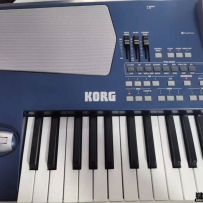 korg pa500.ɫͼ.Ƶ