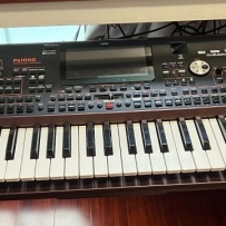 korg pa1000