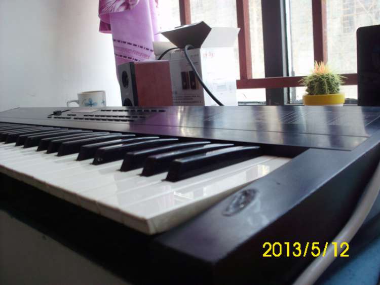 DSCI9181.JPG