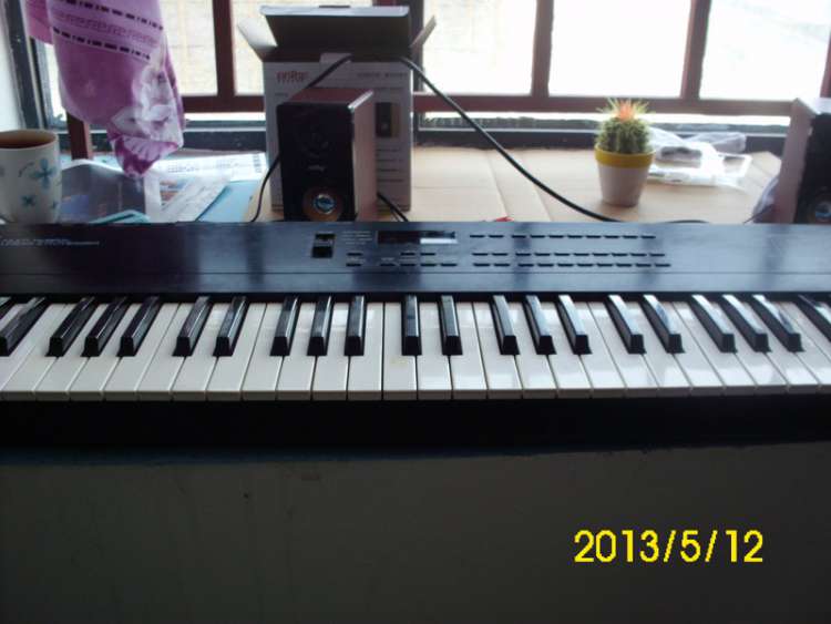 DSCI9182.JPG