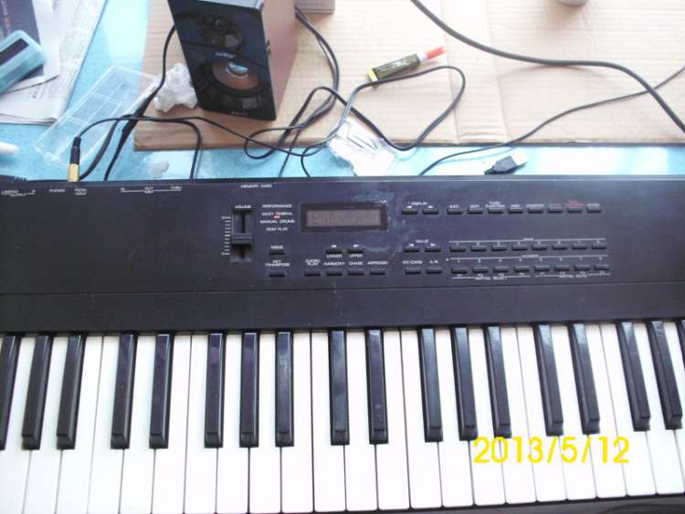 DSCI9183.JPG