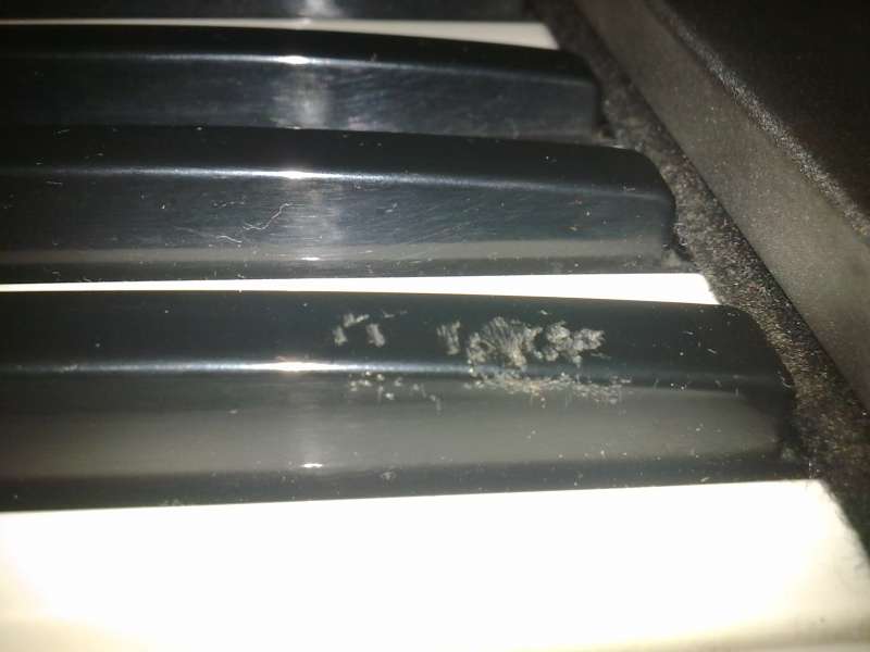 ͷ̵
