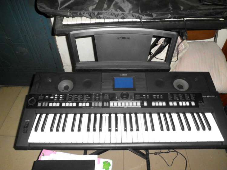 psbCACTK28D.jpg