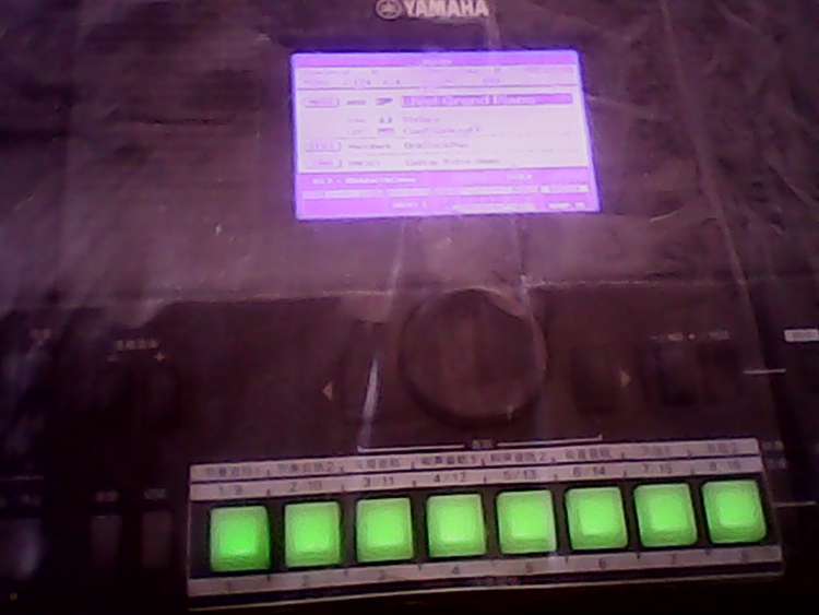 IMG00006.jpg
