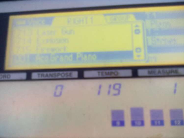 20130404066.jpg