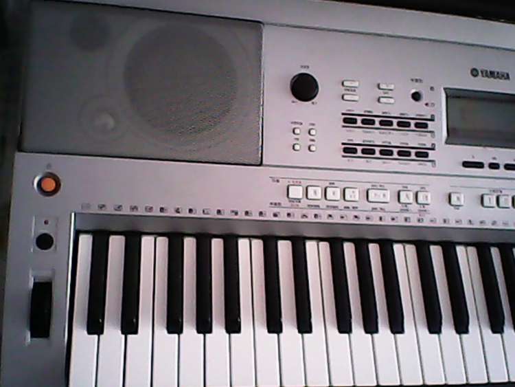 IMG_20130411_134033.jpg