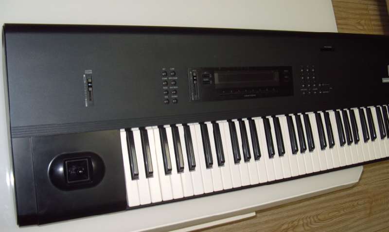S1052309.JPG