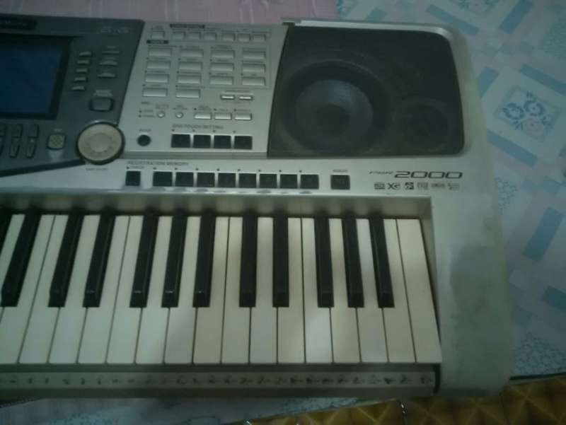 psb (7).jpg