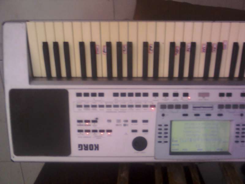 YP20131102135923.jpg