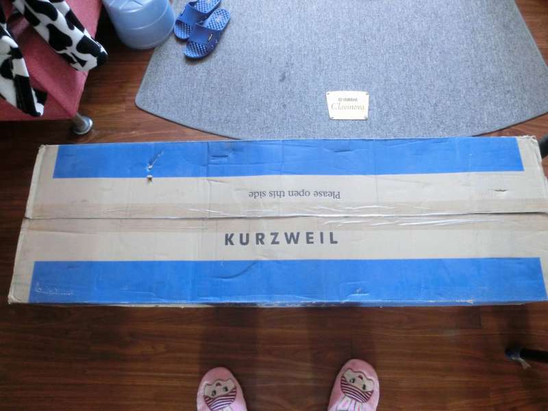 �տ�����