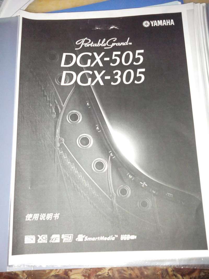305.JPG