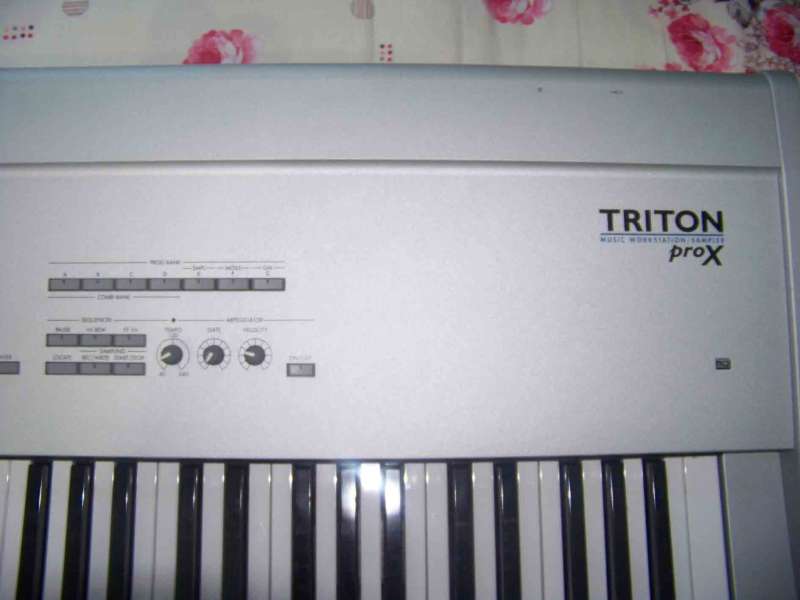 100_0864.JPG