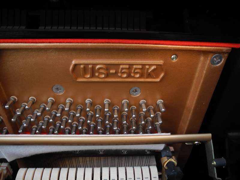 ����Ŀ�����