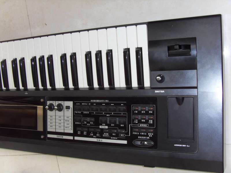SDC12616.jpg
