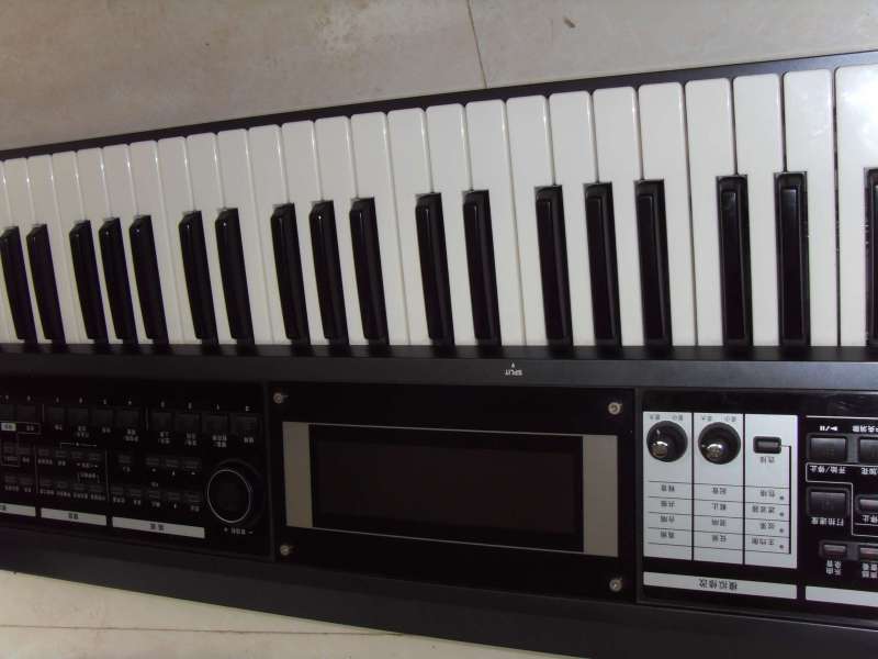 SDC12617.jpg