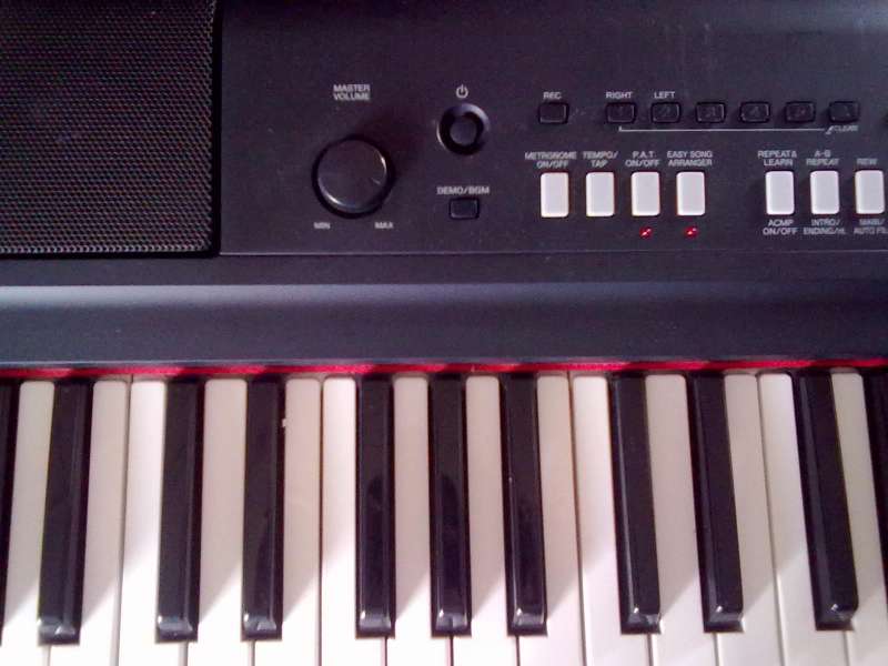 20130808076.jpg