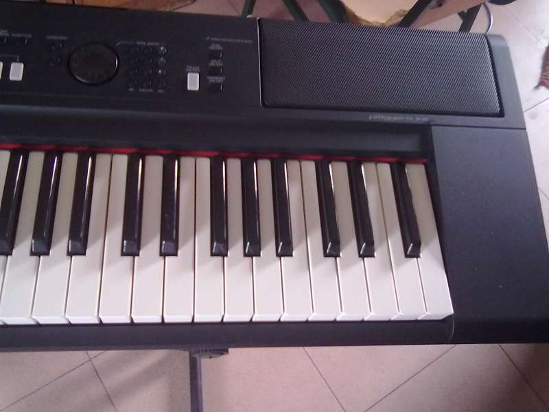 20130808077.jpg