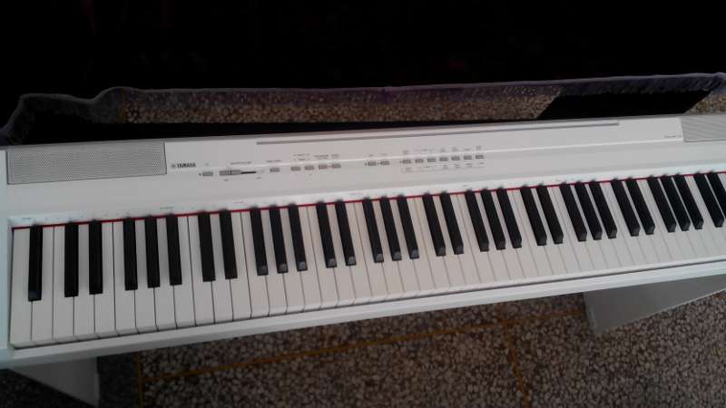 IMG_20130811_115841 (800x450).jpg