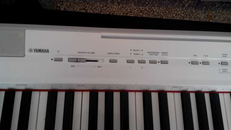 IMG_20130811_115845 (800x450).jpg