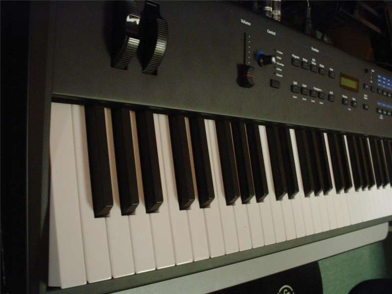 441681813_o.jpg