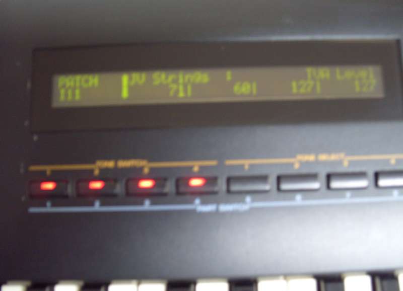 S1052583.JPG