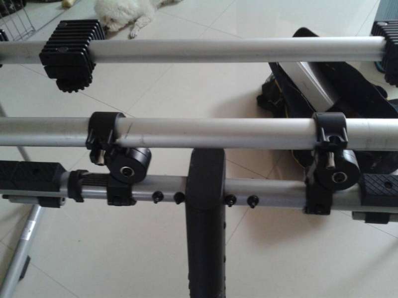 ������ȱ��˿