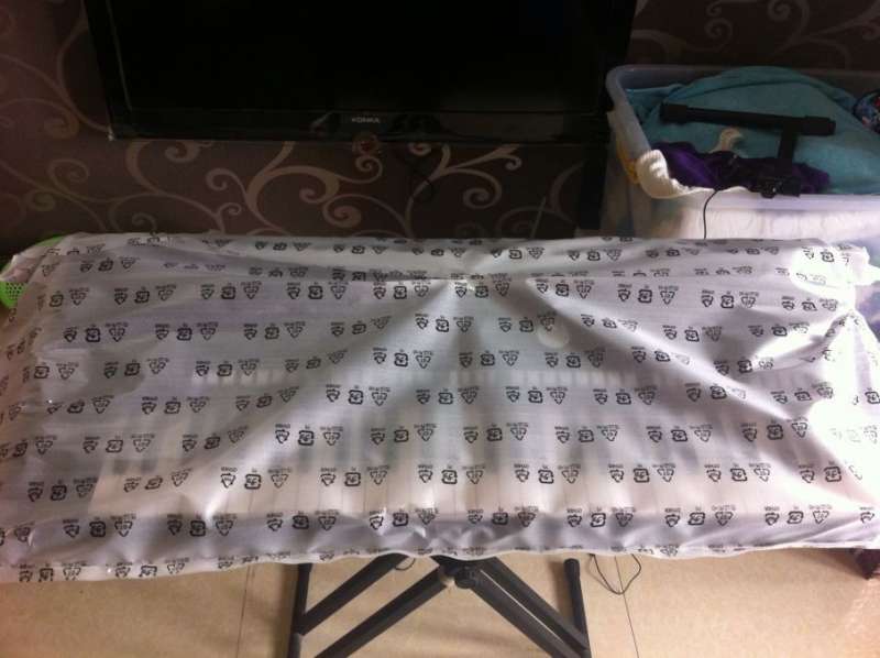 ������ʵ����