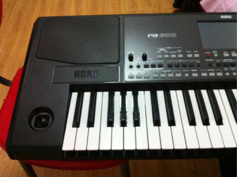 korg pa600 1.jpg