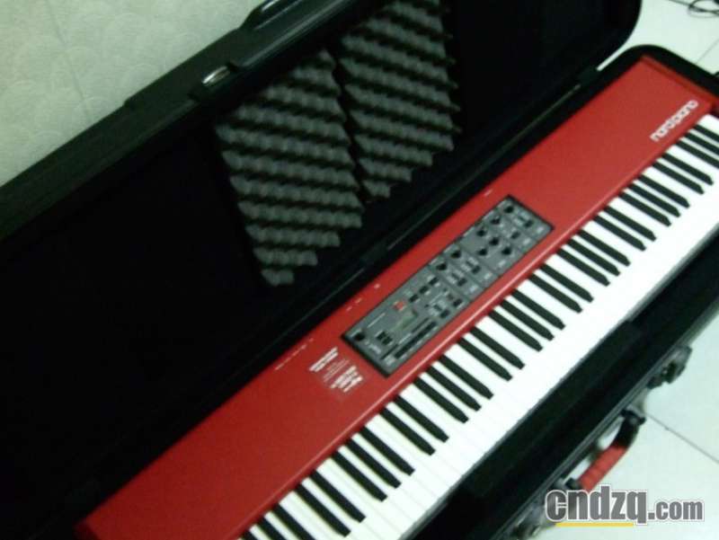 gator ������