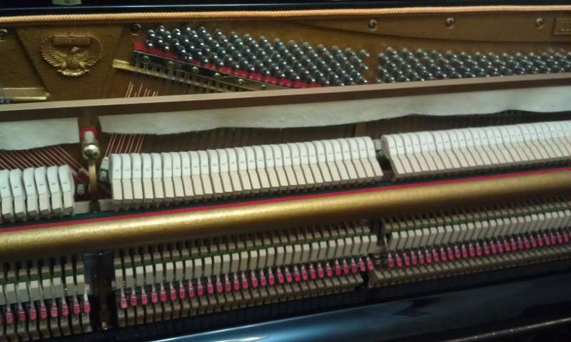 IMAG0127.jpg