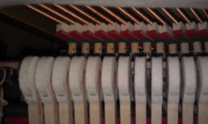 IMAG0129.jpg