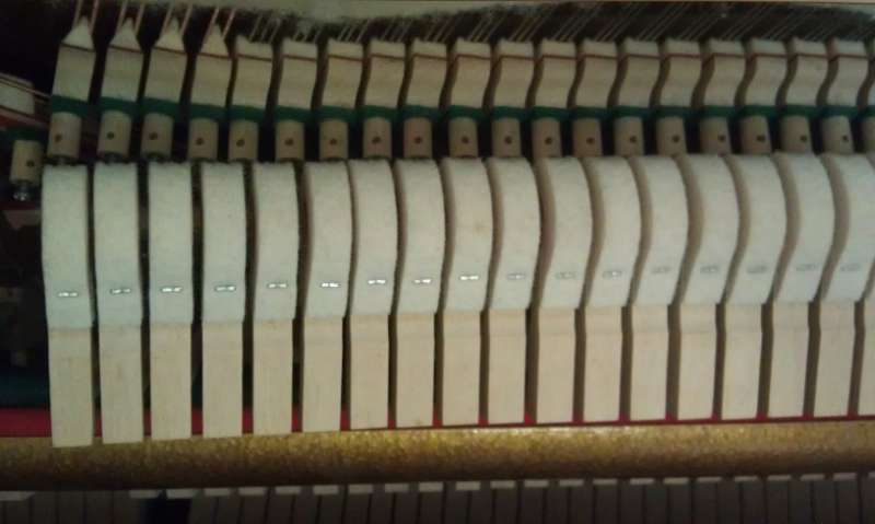 IMAG0130.jpg