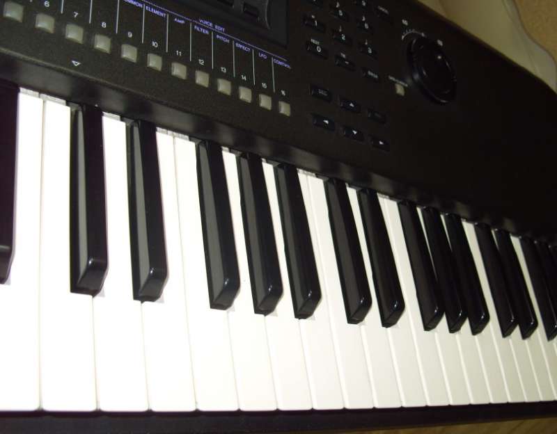 S1052442.JPG
