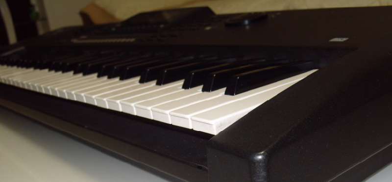 S1052419.JPG