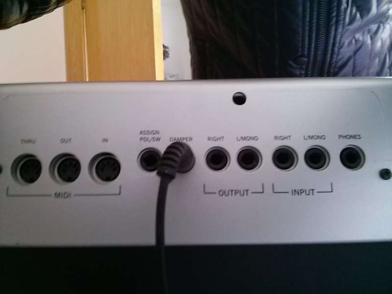 CAM00221.jpg