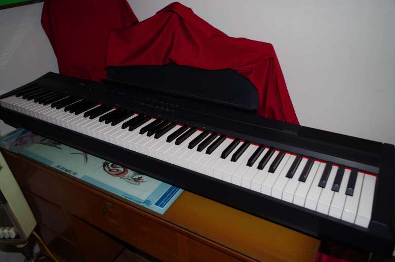 IMGP8267_.jpg